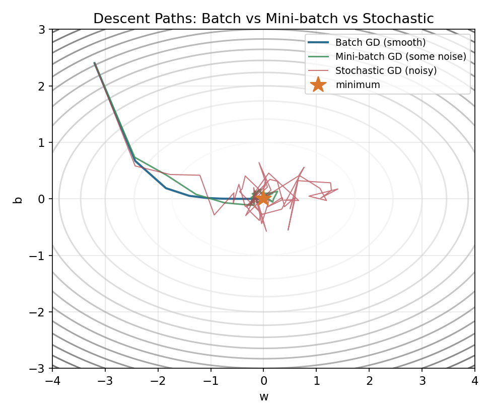 GD variants paths